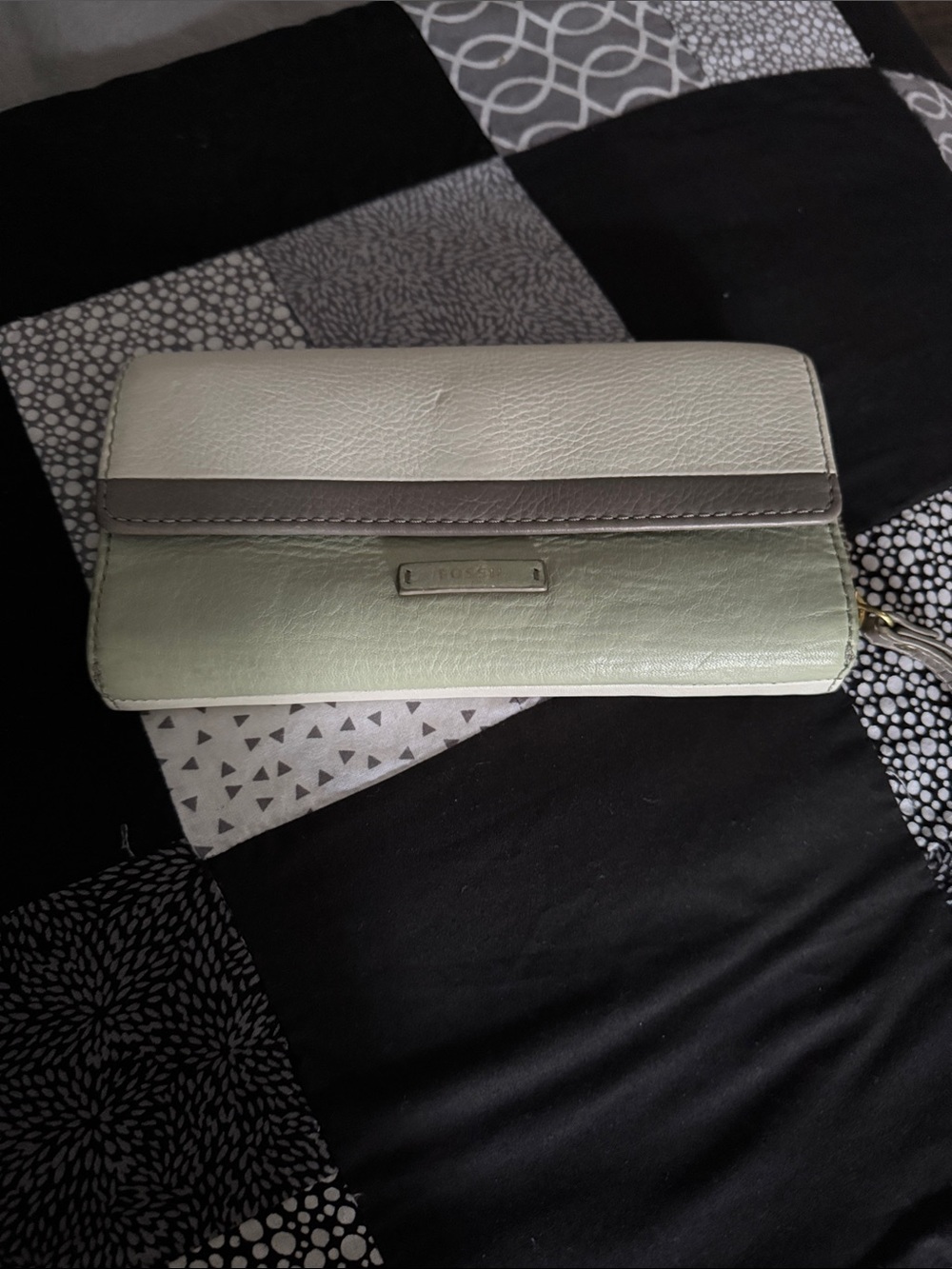 Fossil Tri-Tone Zip Wallet in Light Green, Cream & Gray